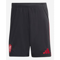 Short Liverpool Away 25/26