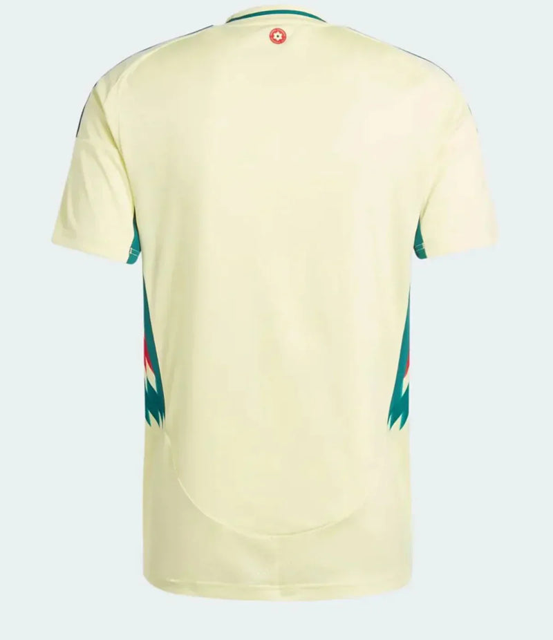 Maillots de football Gallois 24/25