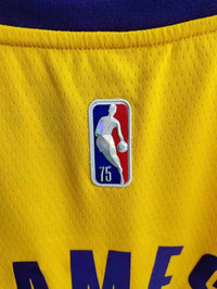 Maillot NBA Los Angeles Lakers
